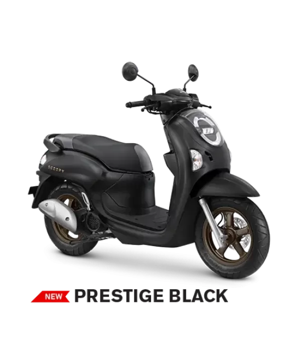 Scoopy