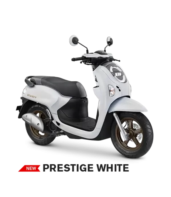Scoopy
