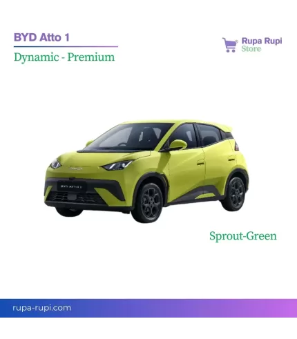 BYD Atto 1