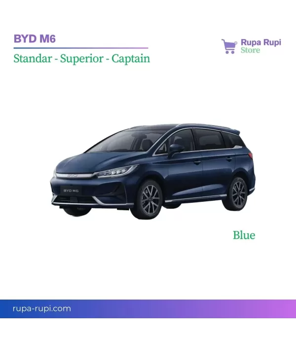 BYD M6