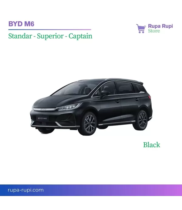 BYD M6